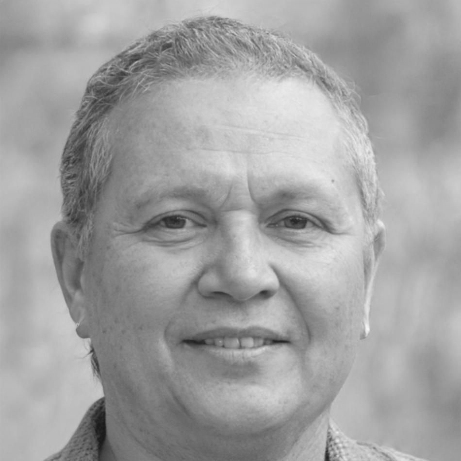 Carlos Mendoza, Fundador y CEO de vekosarindel